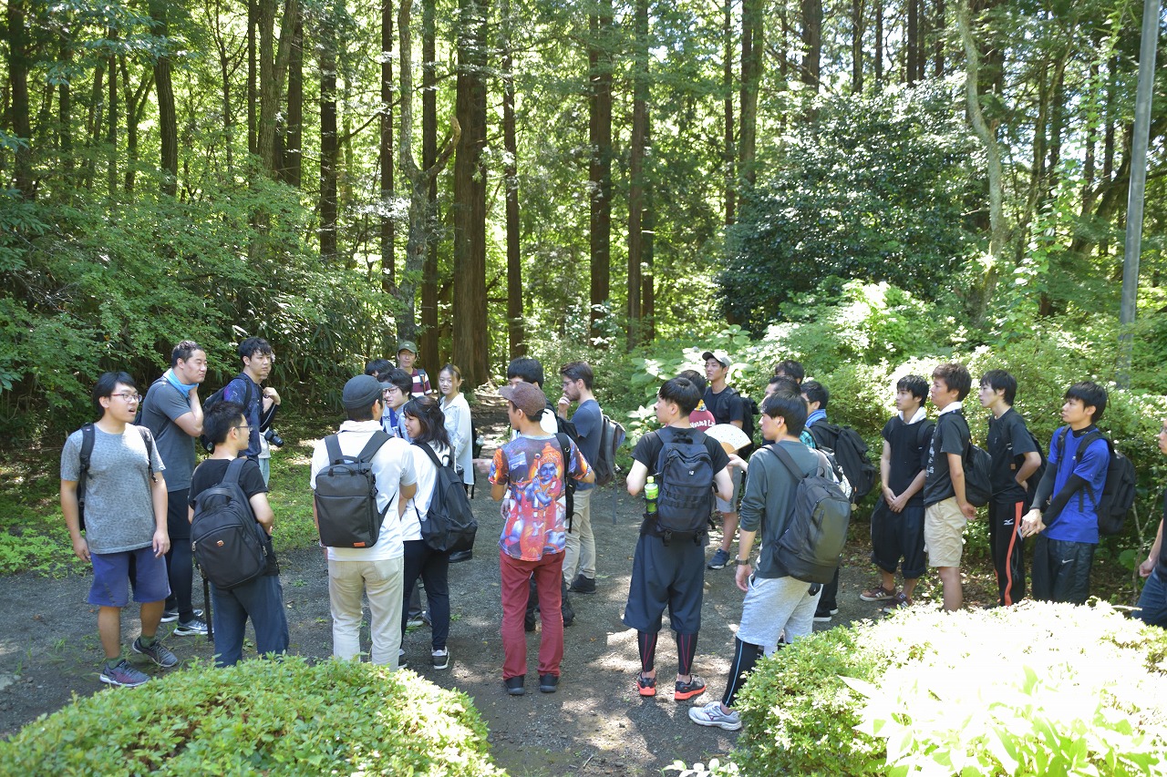 02tozan0 (2).jpg